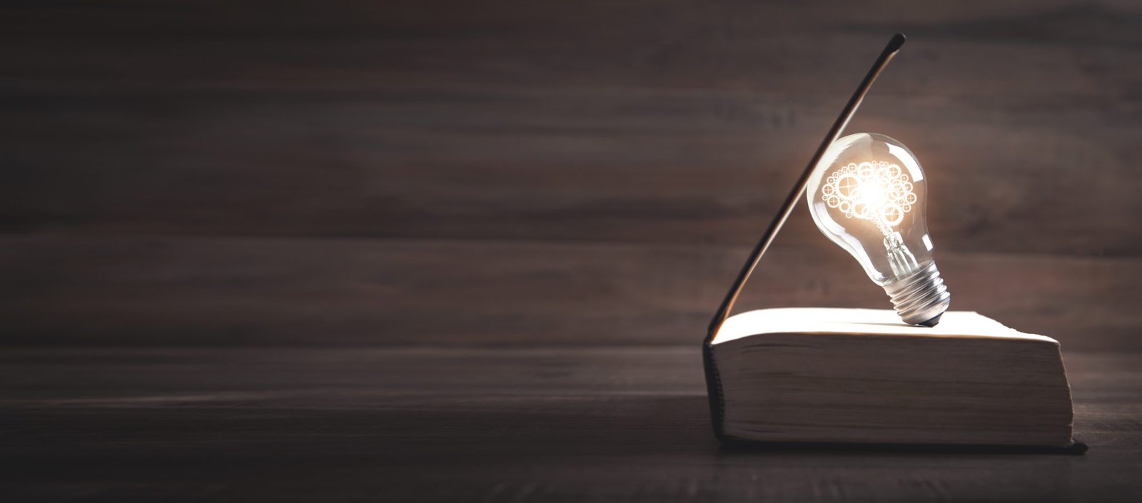 livro com lâmpada e cérebro